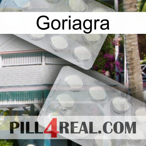 Goriagra 17.jpg